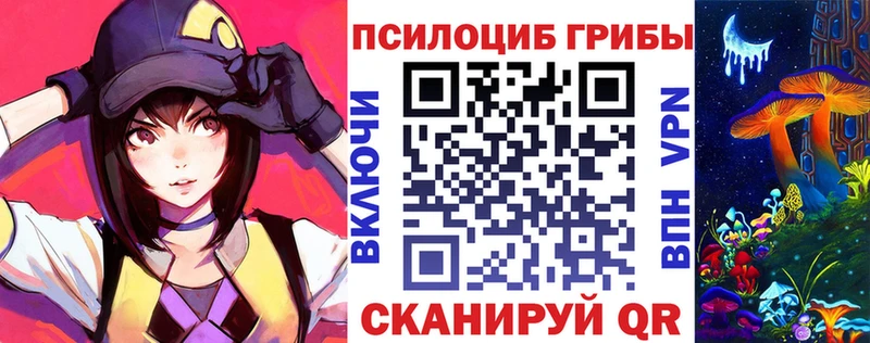 Псилоцибиновые грибы Psilocybine cubensis  купить наркотик  Орехово-Зуево 